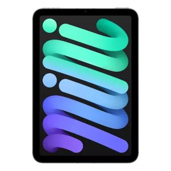 APPLE iPad Mini Wi-Fi + Cellular 256GB – Kosminė pilka
