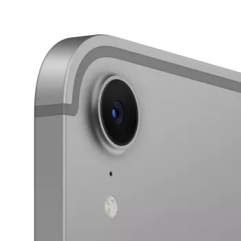 APPLE iPad Mini Wi-Fi + Cellular 256GB – Kosminė pilka