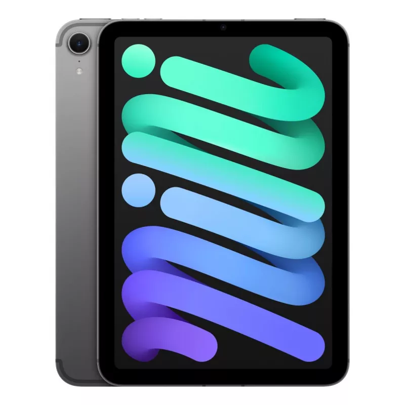 APPLE iPad Mini Wi-Fi + Cellular 256GB – Kosminė pilka