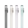 APPLE iPad Mini Wi-Fi + Cellular 256GB – Kosminė pilka