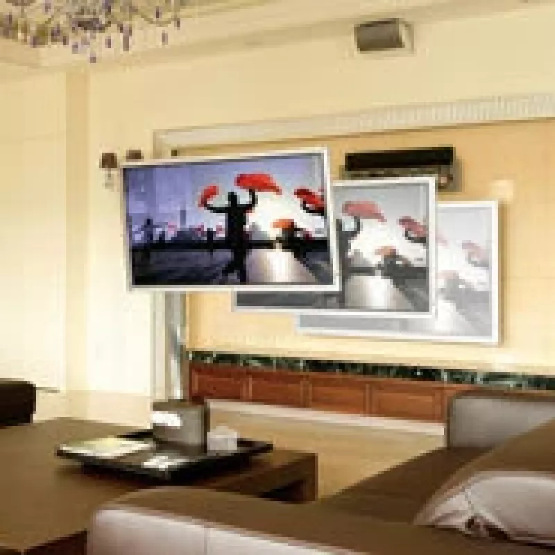 ERGOTRON Interactive Arm Hd (poliruotas aliuminis)