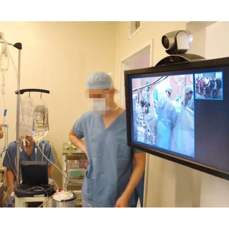 ERGOTRON Interactive Arm Hd (poliruotas aliuminis)