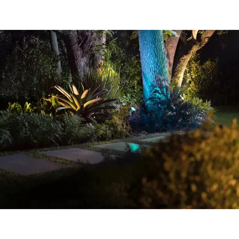 Philips Hue White and colour ambience Lily XL lauko prožektorius