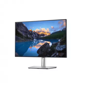 DELL UltraSharp U2421E monitorius 61,2 cm (24,1 colio) 1920 x 1200 pikselių WUXGA LCD sidabrinis