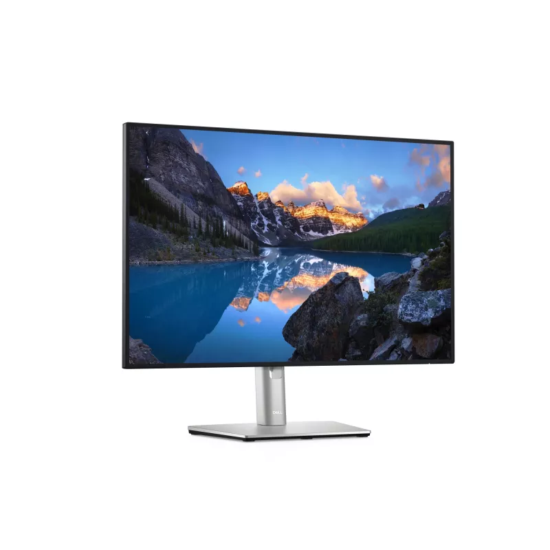 DELL UltraSharp U2421E monitorius 61,2 cm (24,1 colio) 1920 x 1200 pikselių WUXGA LCD sidabrinis