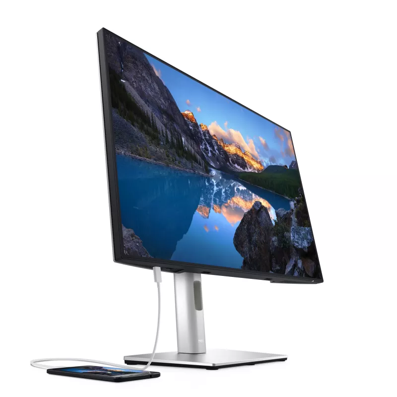 DELL UltraSharp U2421E monitorius 61,2 cm (24,1 colio) 1920 x 1200 pikselių WUXGA LCD sidabrinis