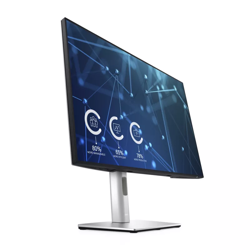 DELL UltraSharp U2421E monitorius 61,2 cm (24,1 colio) 1920 x 1200 pikselių WUXGA LCD sidabrinis