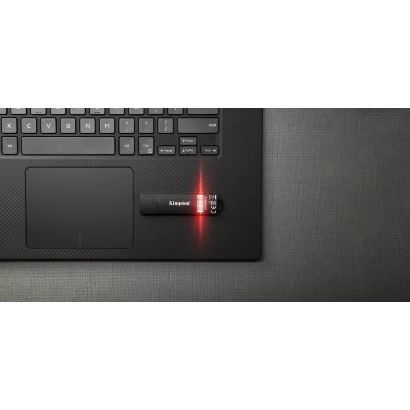 Kingston Technology IronKey 32GB D300S AES 256 XTS šifruota USB atmintinė