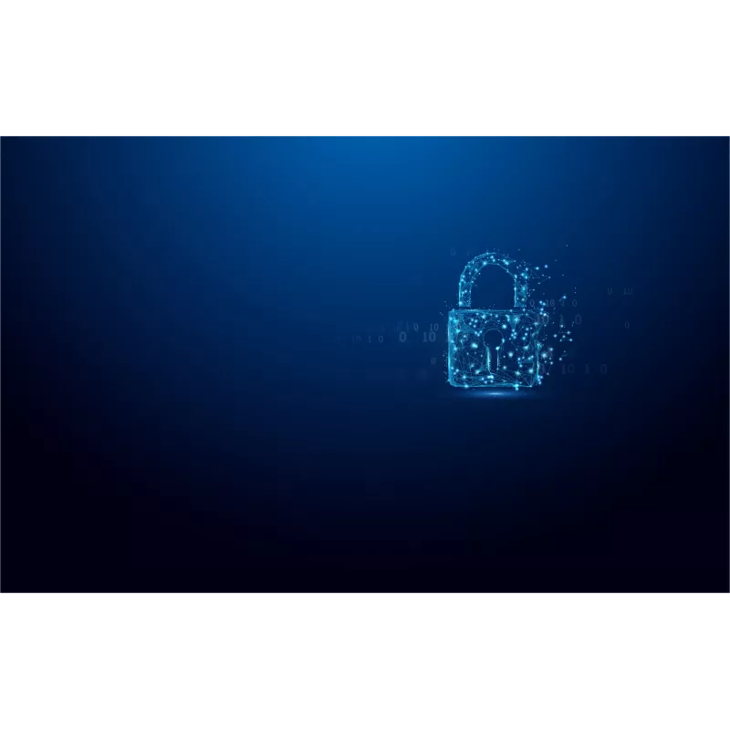 Kingston Technology IronKey Vault Privacy 50C 32GB USB-C šifruotas atmintukas, AES-256, FIPS 197
