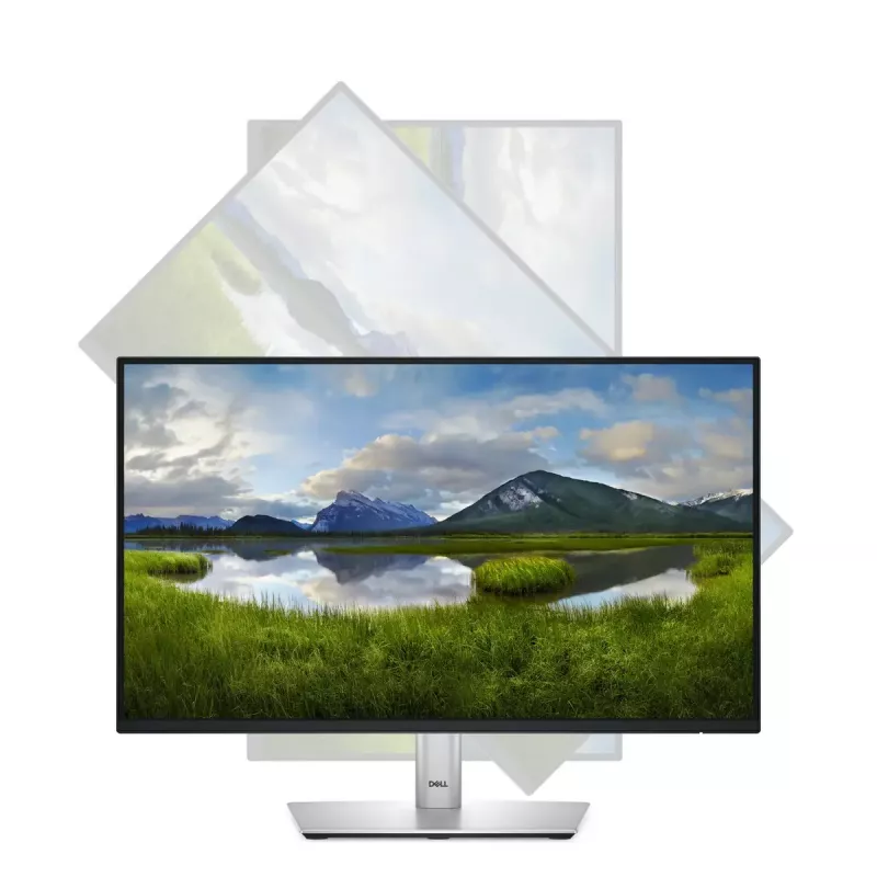 DELL P2225H monitor 54,6 cm (21,5 colio) Full HD LCD juodas, sidabrinis