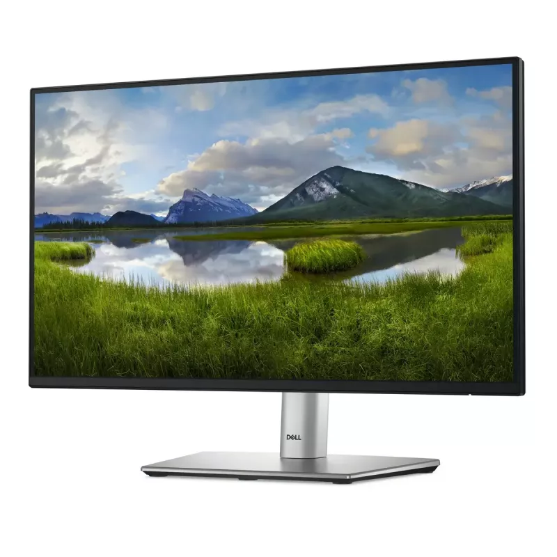 DELL P2225H monitor 54,6 cm (21,5 colio) Full HD LCD juodas, sidabrinis