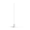 Philips Hue White and colour ambience protingas grindinis šviestuvas 8718696176252