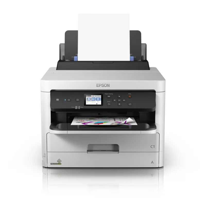 Epson WorkForce Pro WF-C529R / C579R geltonos spalvos XL rašalo tiekimo blokas