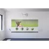 Projektorius Epson EB-1485Fi itin trumpo fokusavimo 5000 ANSI liumenų 3LCD 1080p (1920x1080) Baltas