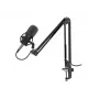 GENESIS Radium 300 XLR juodas studijinis mikrofonas