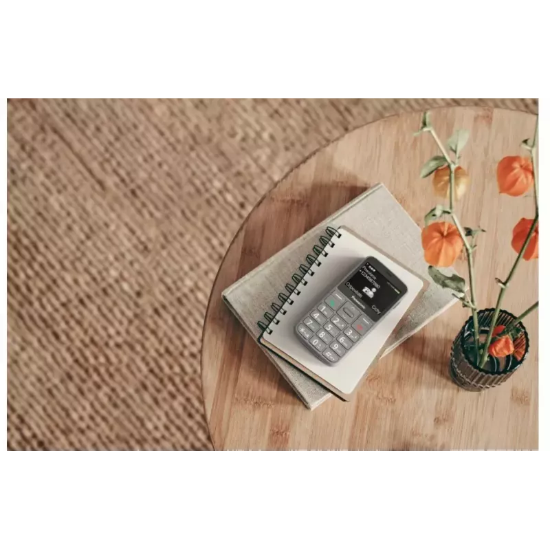 Mobilus telefonas Panasonic KX-TU160 2,4 colio