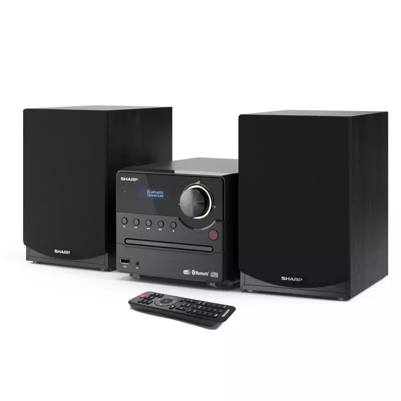Sharp XL-B517D namų audio mikro sistema 45 W juoda
