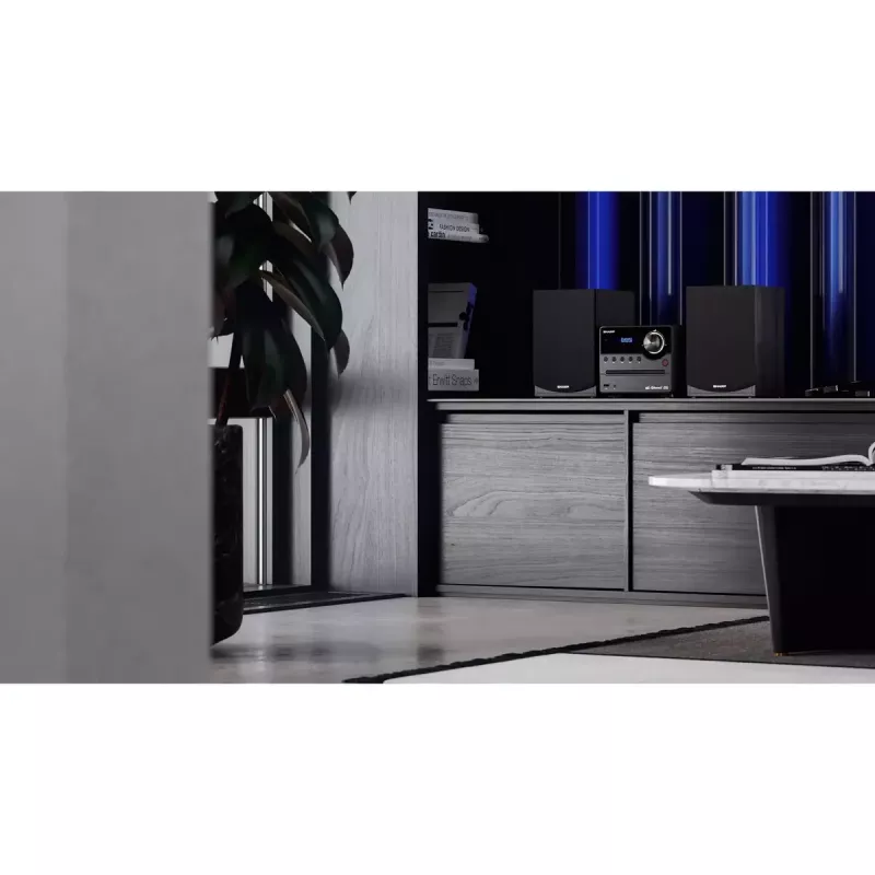 Sharp XL-B517D namų audio mikro sistema 45 W juoda