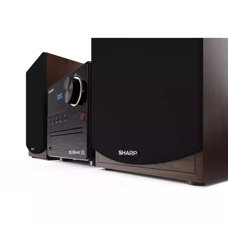 Sharp XL-B517D mikro garso sistema 45 W Ruda