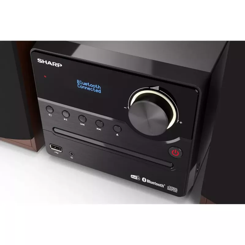 Sharp XL-B517D mikro garso sistema 45 W Ruda