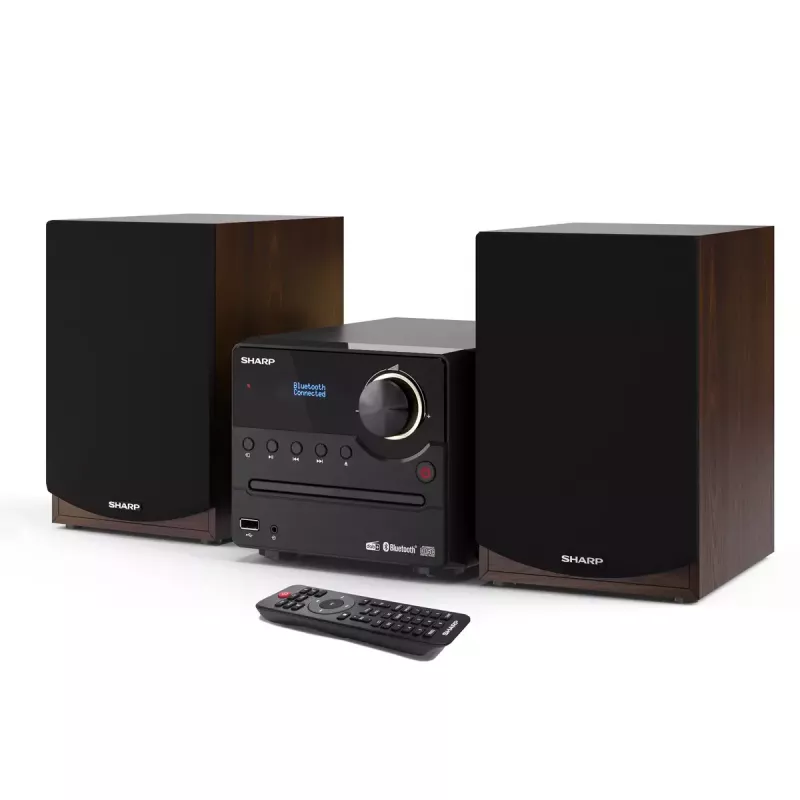 Sharp XL-B517D mikro garso sistema 45 W Ruda