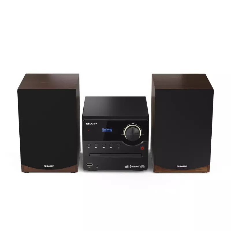 Sharp XL-B517D mikro garso sistema 45 W Ruda