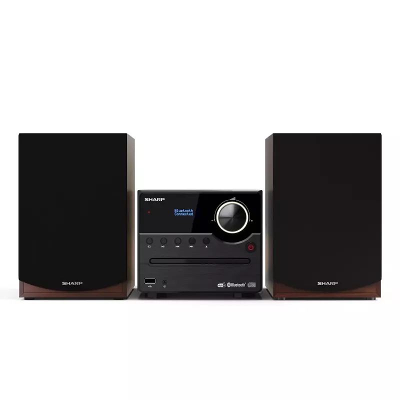 Sharp XL-B517D mikro garso sistema 45 W Ruda