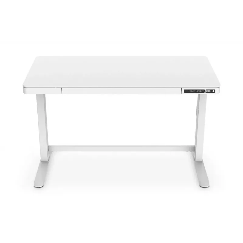 DIGITUS elektrinis aukščio reguliavimo stalas 120x60x12 cm su USB balta