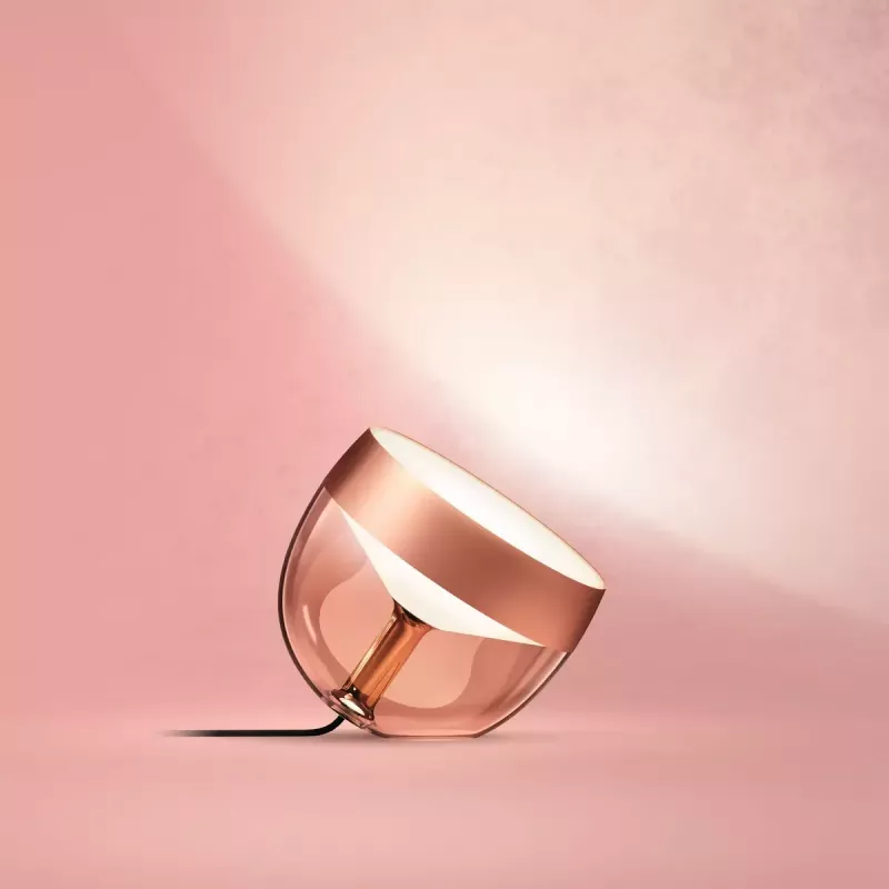 Philips Hue Iris vario specialus leidimas – išmanus stalinis šviestuvas su 1 lempute, Bluetooth ir Zigbee, 100–240V, 2 m laidas