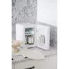 Stalinias mini šaldytuvas Adler AD 8085, 4 L, dešinysis vyris, veidrodinės durelės, 220–240V/12V