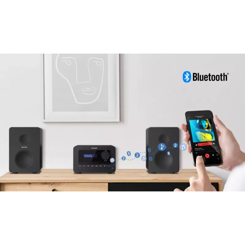 Sharp TOKYO DAB+ HI-FI mikro sistema namų garso sistemai, 40 W, juoda