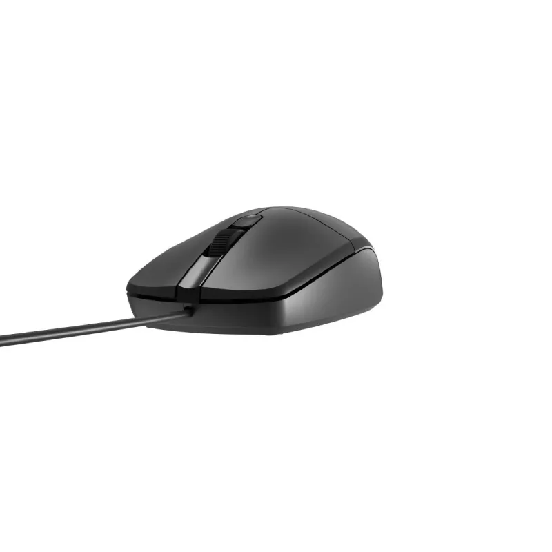 Natec Ruff 2 USB optinė pelė 1000dpi juoda