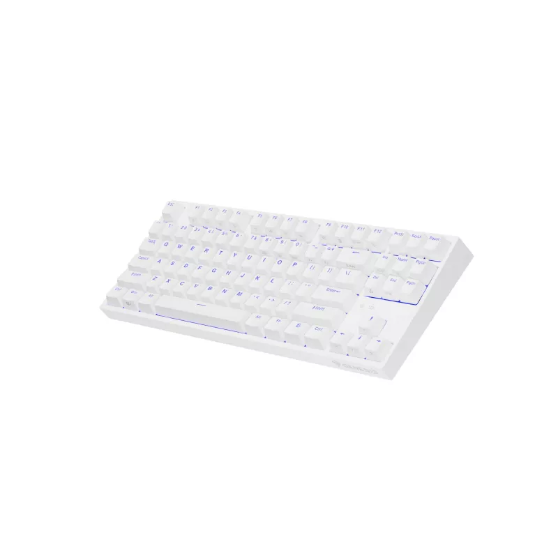 GENESIS Thor 404 TKL klaviatūra žaidimams laida USB QWERTY US International balta