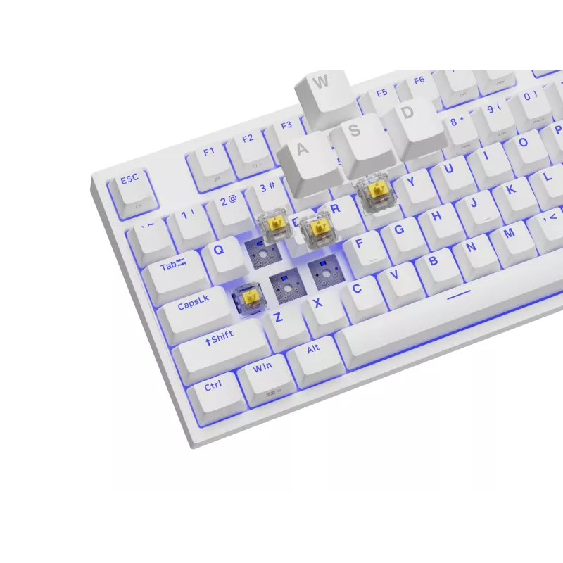 GENESIS Thor 404 TKL klaviatūra žaidimams laida USB QWERTY US International balta