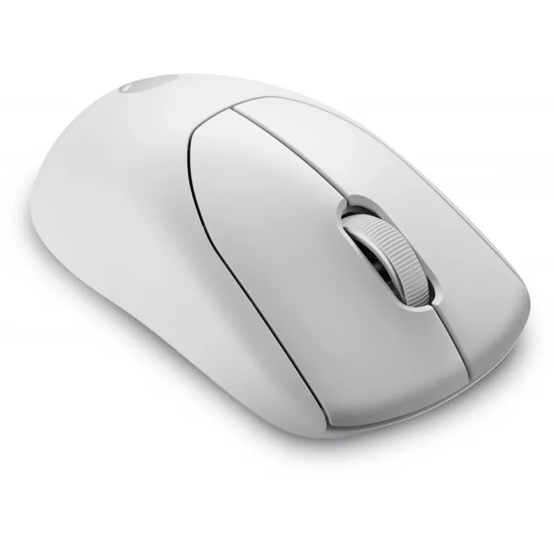 Alienware Pro Wireless žaidimų pelė ambidekstrinė RF belaidė + USB Type-C optinė 26000 DPI