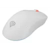 GENESIS Zircon XIII žaidimų pelė, ambidekstrinė, RF belaidė + USB Type-C, optinė, 26000 DPI