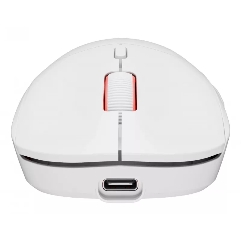 GENESIS Zircon XIII žaidimų pelė, ambidekstrinė, RF belaidė + USB Type-C, optinė, 26000 DPI