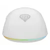 GENESIS Zircon XIII žaidimų pelė, ambidekstrinė, RF belaidė + USB Type-C, optinė, 26000 DPI