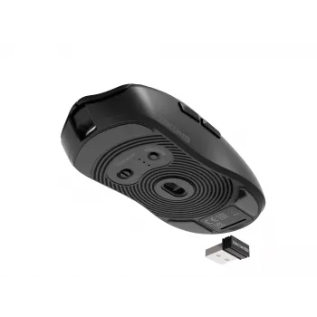 GENESIS Zircon 500 pelė žaidimams, belaidė RF + Bluetooth + USB Type-C, optinė, 10000 DPI