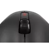 GENESIS Zircon 500 pelė žaidimams, belaidė RF + Bluetooth + USB Type-C, optinė, 10000 DPI