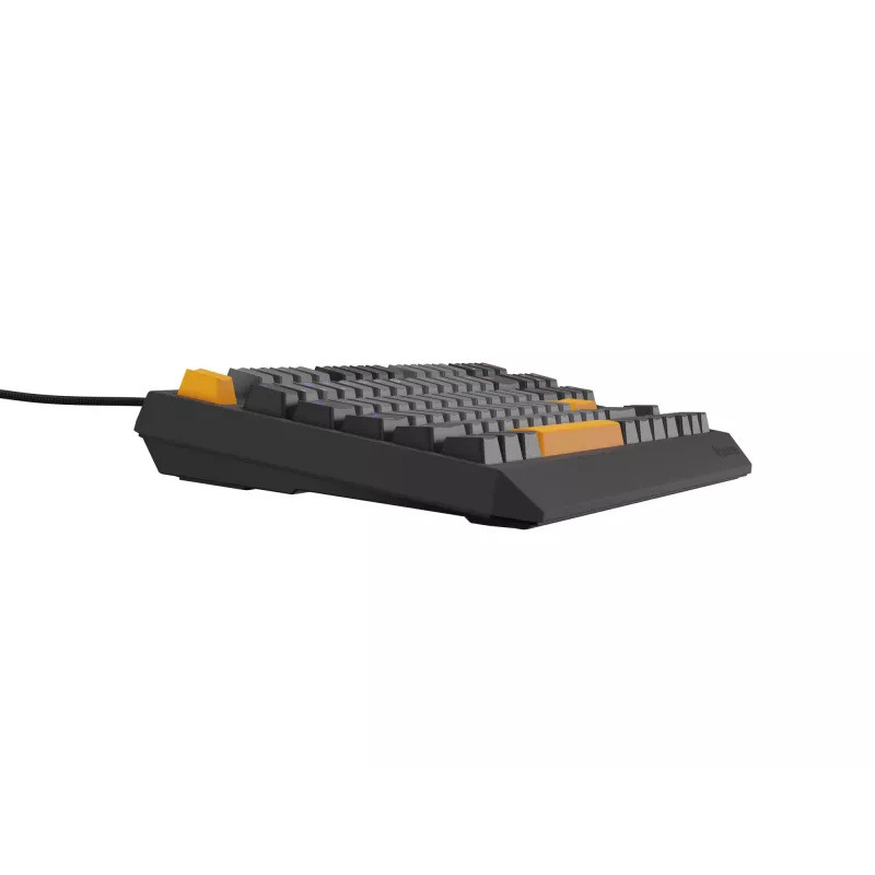 GENESIS Thor 230 TKL belaidė klaviatūra Gaming USB + RF Wireless + Bluetooth QWERTY Juoda, Pilka, Oranžinė