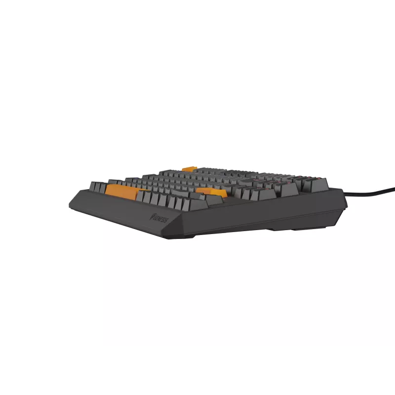 GENESIS Thor 230 TKL belaidė klaviatūra Gaming USB + RF Wireless + Bluetooth QWERTY Juoda, Pilka, Oranžinė