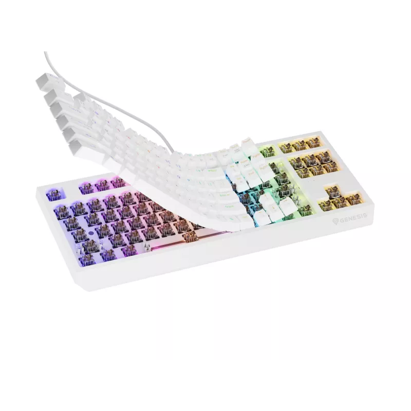 GENESIS Thor 230 TKL belaidė klaviatūra Gaming USB + RF Wireless + Bluetooth QWERTY balta