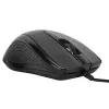 Targus AMU81AMGL pelė biuro darbui, ambidekstrinė, USB Type-A, optinė, 1000 DPI