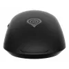 GENESIS Krypton 660 žaidimų pelė, dešinei rankai, USB Type-A, optinė, 12000 DPI