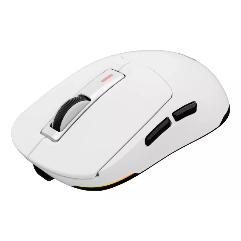 GENESIS Zircon 660 pelė žaidimams Dešiniajai rankai RF belaidis + Bluetooth + USB Type-A Optinė 12000 DPI