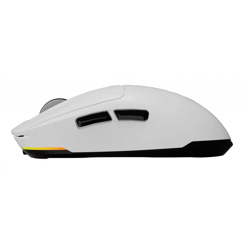 GENESIS Zircon 660 pelė žaidimams Dešiniajai rankai RF belaidis + Bluetooth + USB Type-A Optinė 12000 DPI