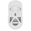 GENESIS NMG-2194 pelė Žaidimų Ambidextrinė Bluetooth + USB Type-C Optinė 26000 DPI