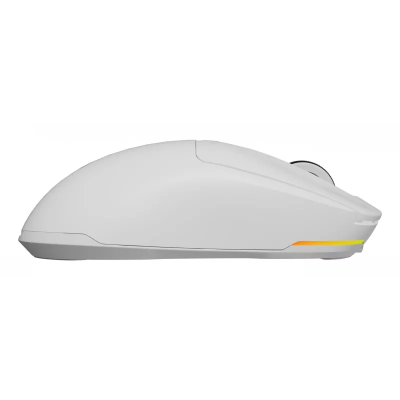 GENESIS NMG-2194 pelė Žaidimų Ambidextrinė Bluetooth + USB Type-C Optinė 26000 DPI