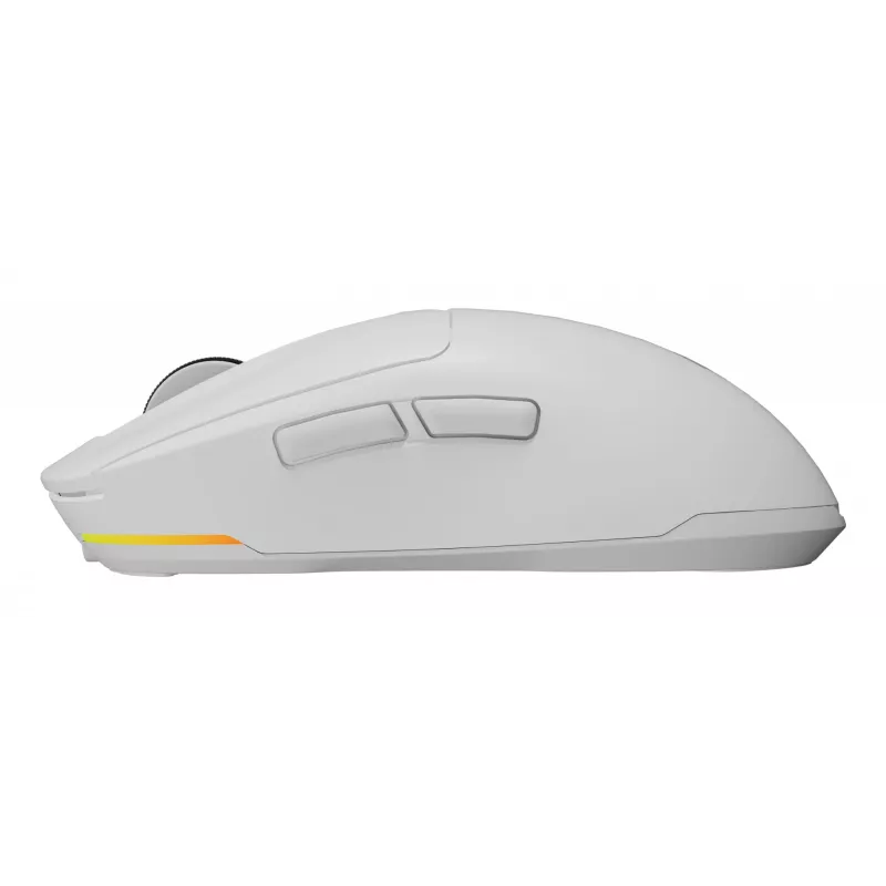 GENESIS NMG-2194 pelė Žaidimų Ambidextrinė Bluetooth + USB Type-C Optinė 26000 DPI